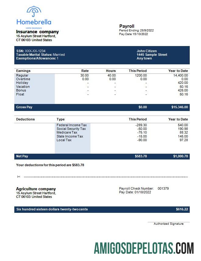 Em branco Modelo de extrato de ganhos totalmente editável para seguradora em formatos Word e PDF